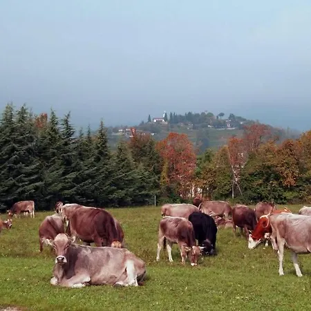 Vinea Prisca - Bergamo Hill Cenate Sotto