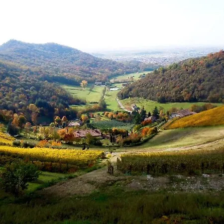 Vinea Prisca - Bergamo Hill
