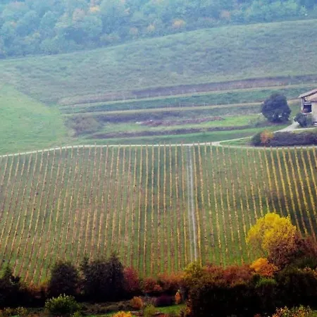 Oda ve Kahvaltı Vinea Prisca - Bergamo Hill *
