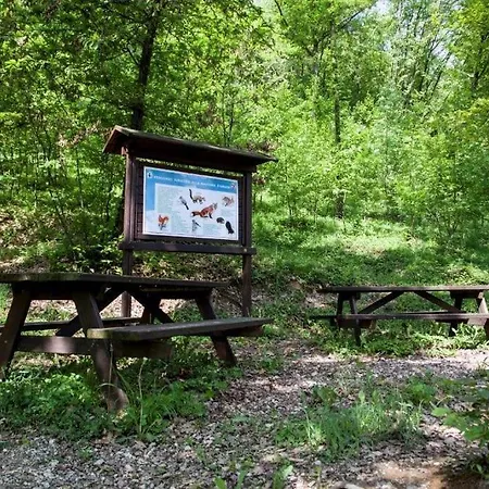 Vinea Prisca Bed & Breakfast Cenate Sotto