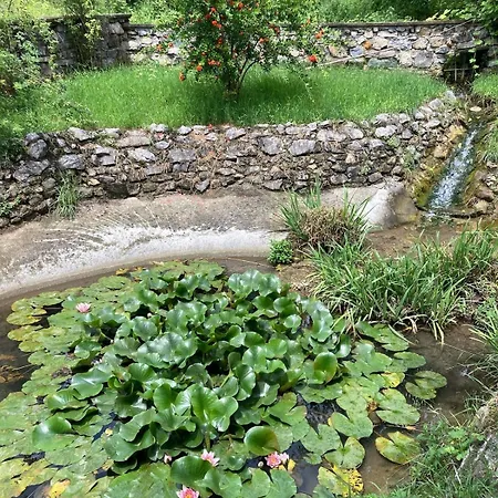 Vinea Prisca - Bergamo Hill