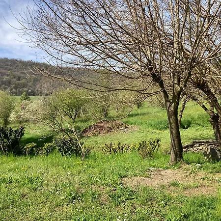 Bed & Breakfast Vinea Prisca Cenate Sotto