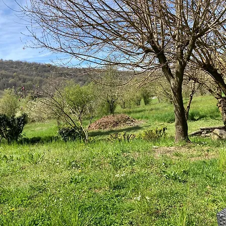 Vinea Prisca - Bergamo Hill * Cenate Sotto