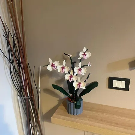 ベッド・アンド・ブレックファスト Vinea Prisca Cenate Sotto